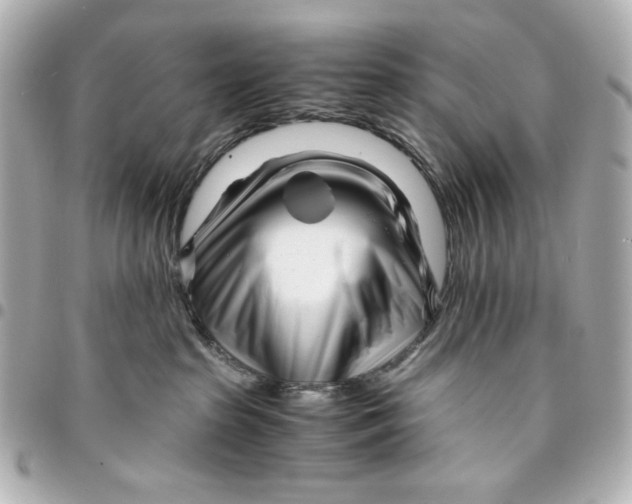 X0000094930285200712201059