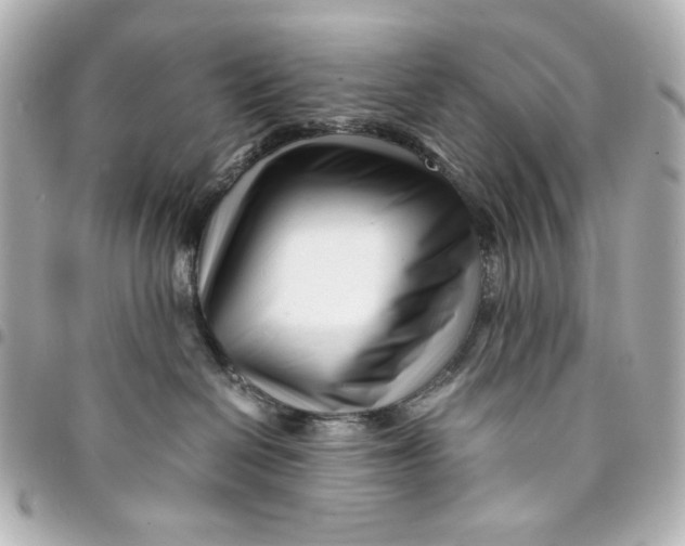 X0000094930286200712201059