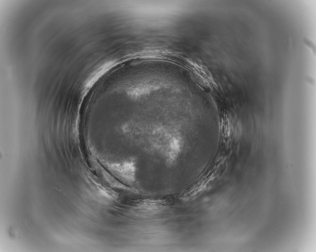 X0000094930292200712201059