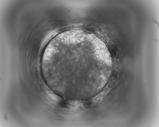 X0000094930293200712201059