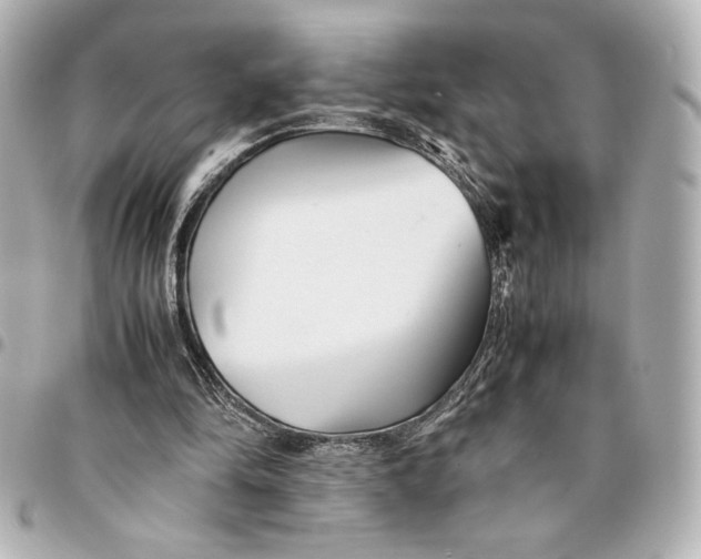 X0000094930294200712201059
