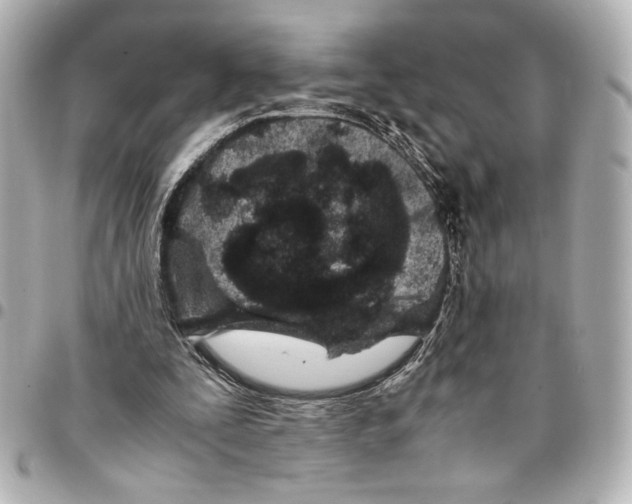 X0000094930295200712201059