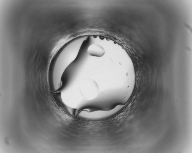 X0000094930296200712201059