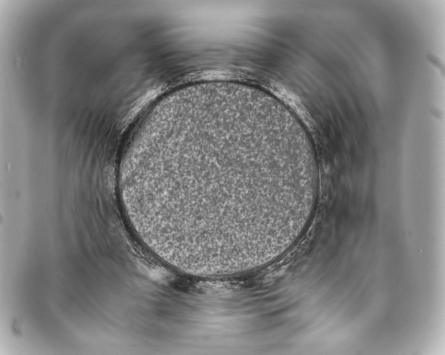 X0000094930297200712201058
