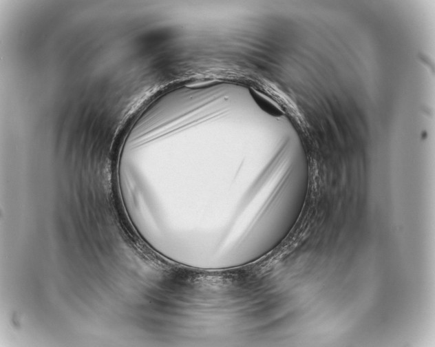X0000094930298200712201058