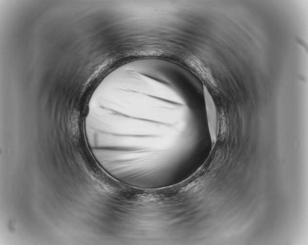 X0000094930300200712201058