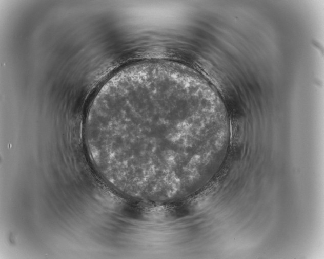 X0000094930301200712201058