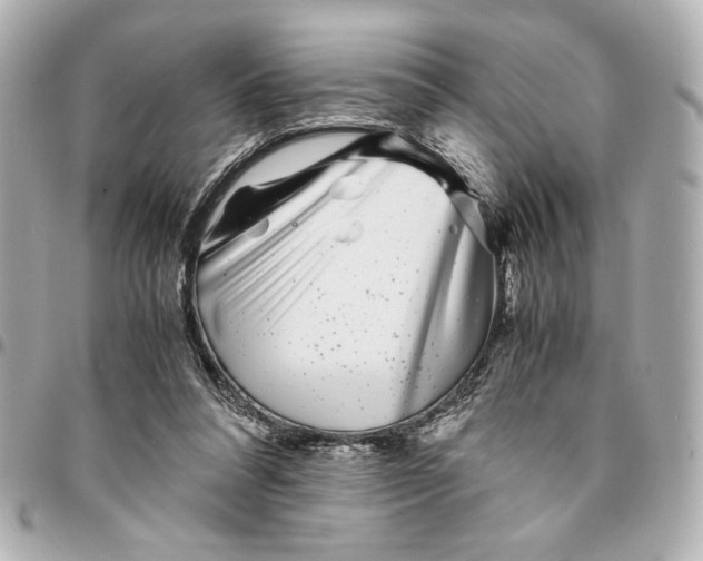 X0000094930304200712201058