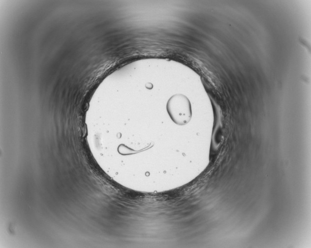 X0000094930305200712201058