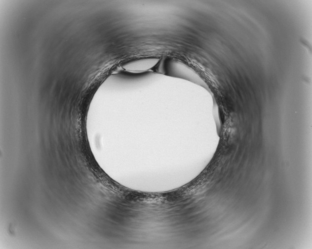 X0000094930306200712201058