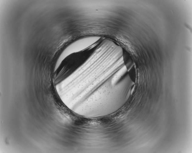 X0000094930308200712201058