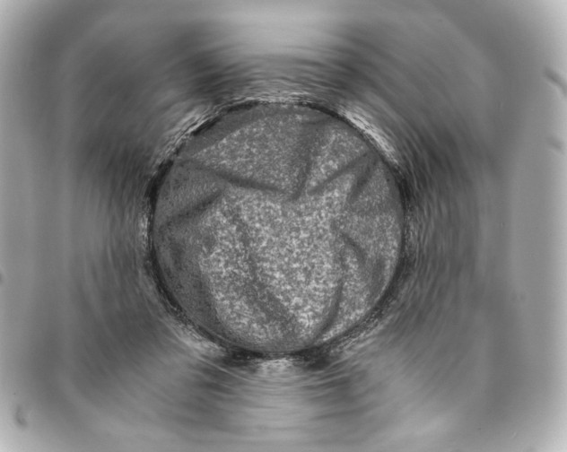 X0000094930309200712201058