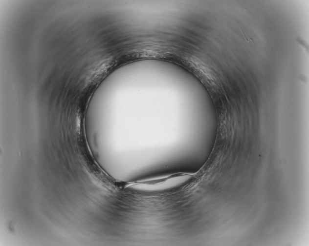 X0000094930310200712201058