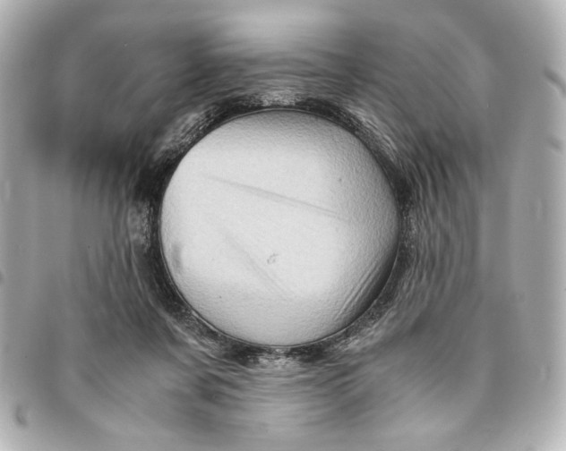 X0000094930311200712201058