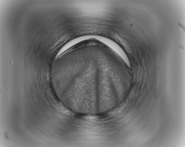 X0000094930313200712201058
