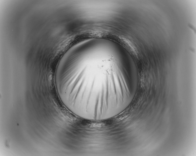 X0000094930314200712201058