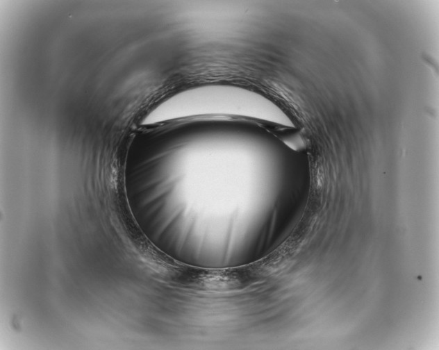 X0000094930315200712201058