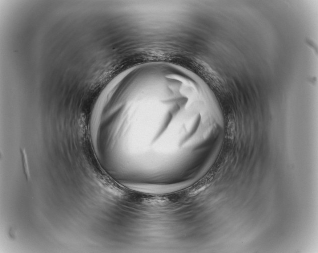 X0000094930318200712201058