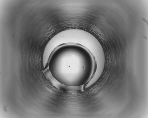 X0000094930320200712201058