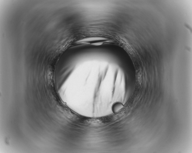 X0000094930322200712201058