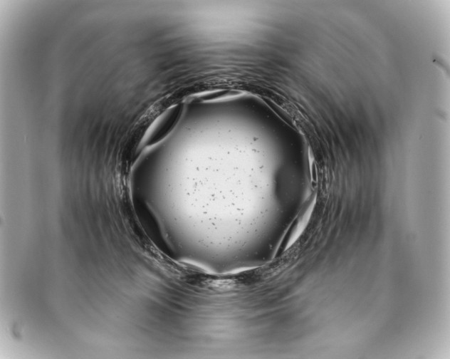 X0000094930324200712201058
