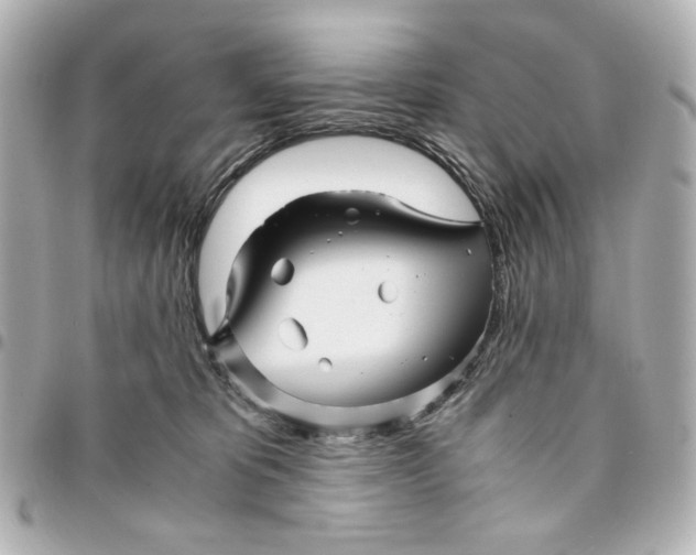 X0000094930325200712201058
