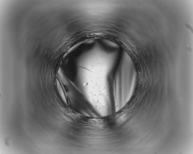 X0000094930328200712201058