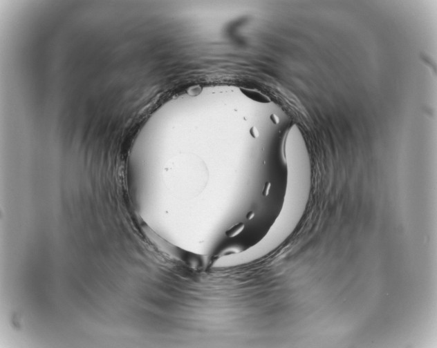 X0000094930329200712201058