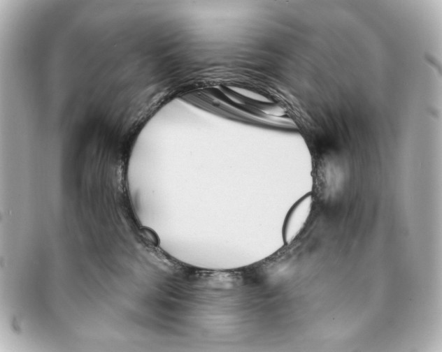 X0000094930330200712201058