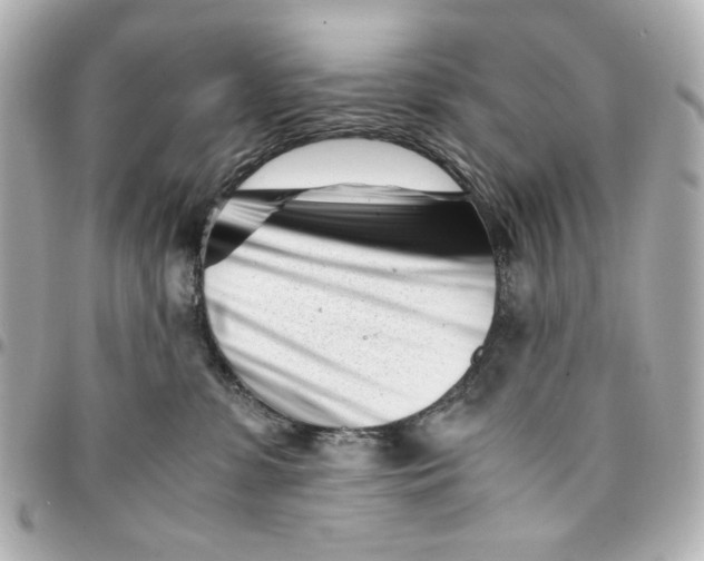 X0000094930331200712201058