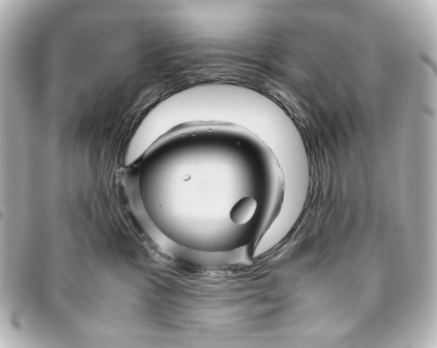 X0000094930333200712201058