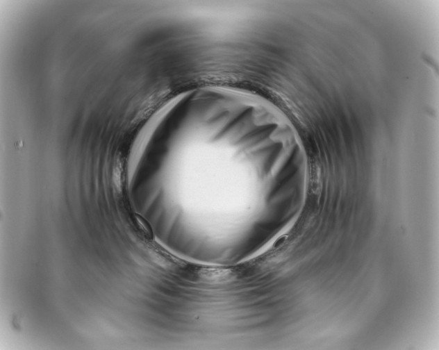 X0000094930334200712201058