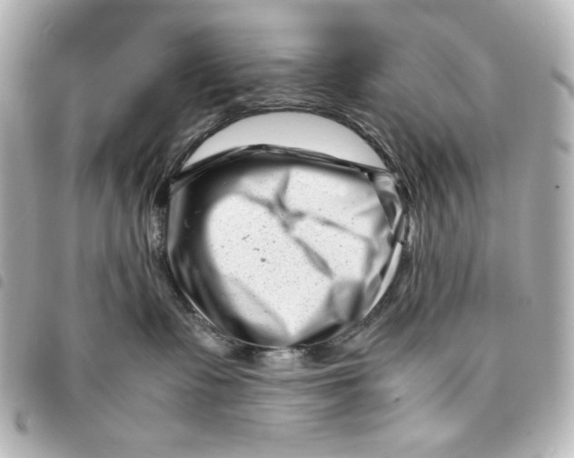 X0000094930335200712201058