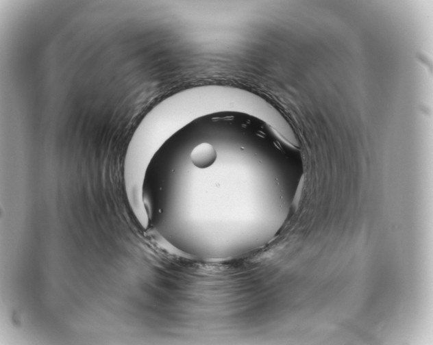 X0000094930336200712201058