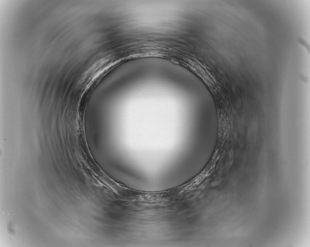 X0000094930338200712201057