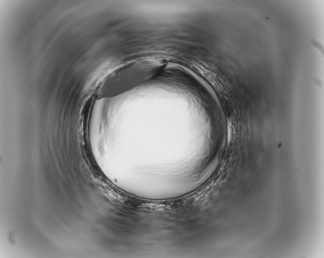 X0000094930339200712201057