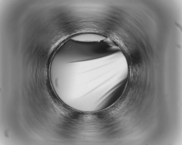 X0000094930348200712201057
