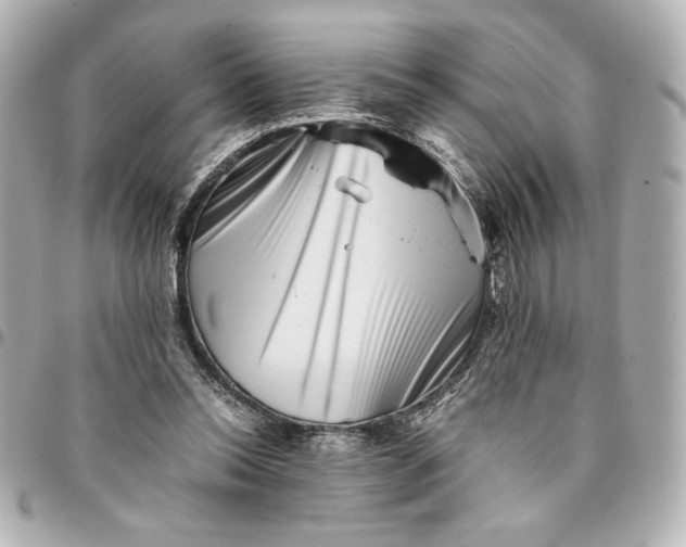 X0000094930350200712201057