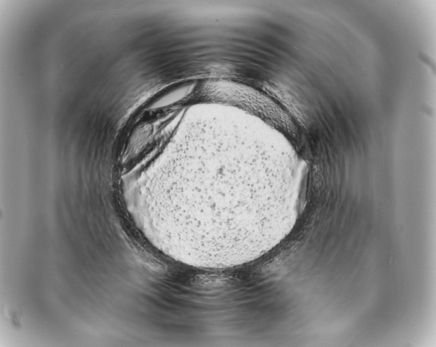 X0000094930351200712201057