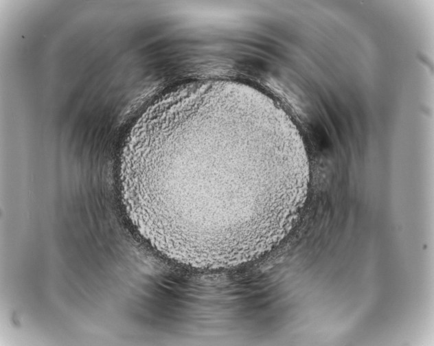 X0000094930353200712201058