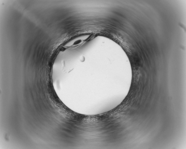 X0000094930354200712201058