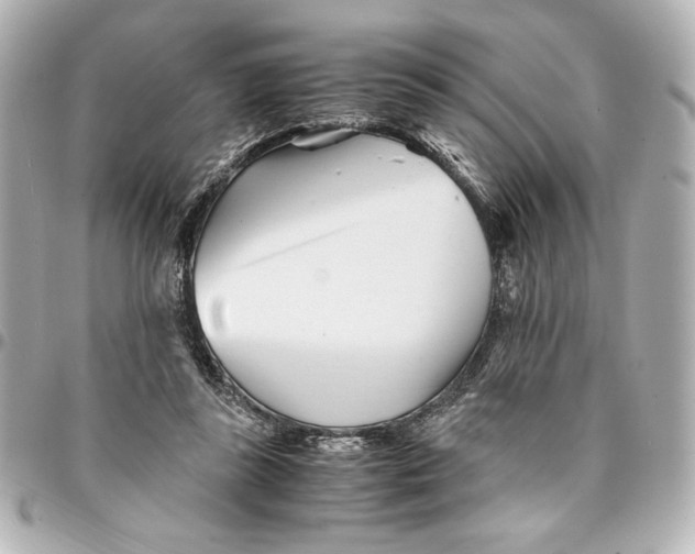 X0000094930355200712201058