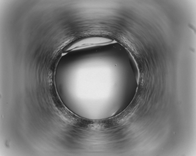 X0000094930356200712201058