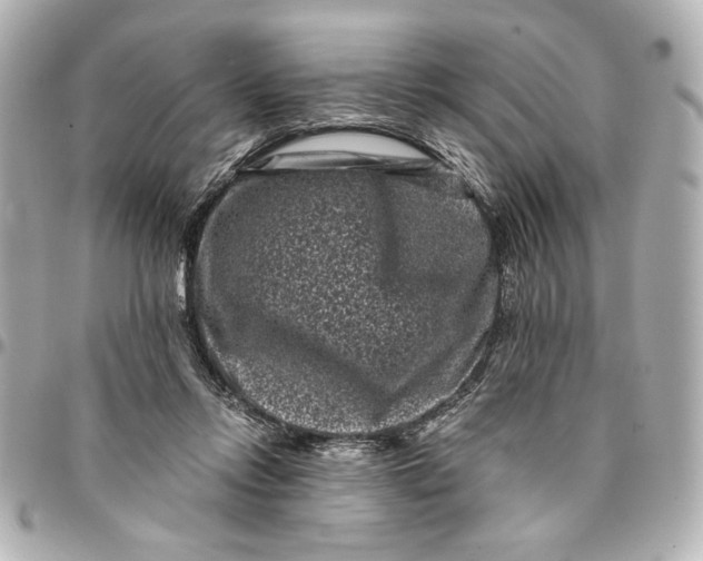 X0000094930358200712201058