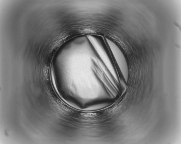 X0000094930359200712201058