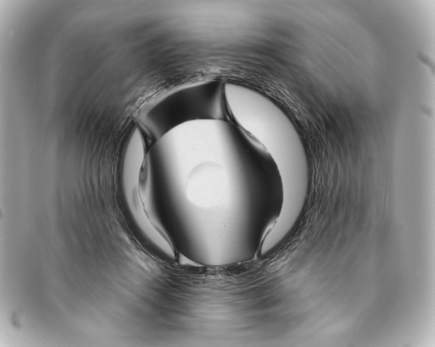 X0000094930360200712201058