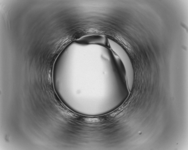 X0000094930361200712201058