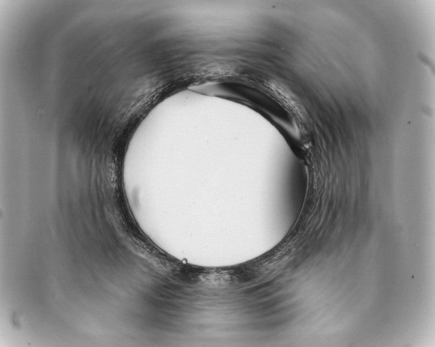 X0000094930362200712201058