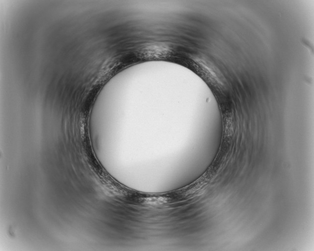 X0000094930363200712201058