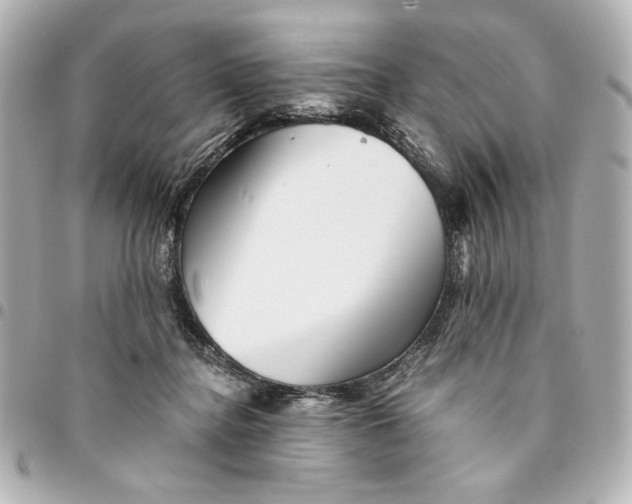X0000094930364200712201058